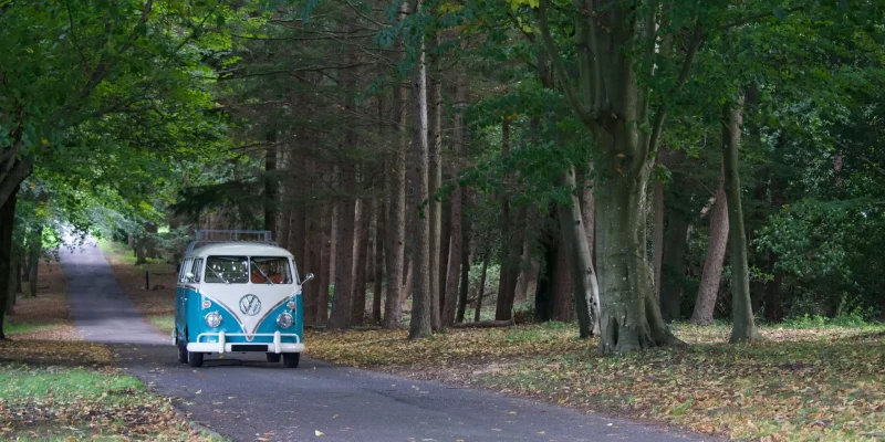 Foto von Matt Clayton auf Unsplash